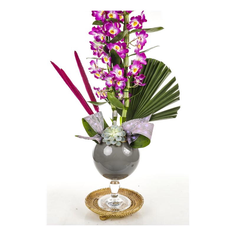 Dendrobium Of Grey