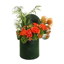 Green Box Of Orange