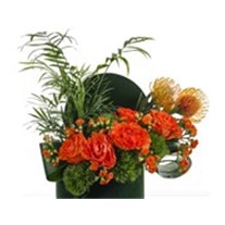 Green Box Of Orange