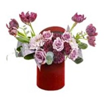 Tulip Mood Of Box