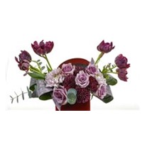 Tulip Mood Of Box