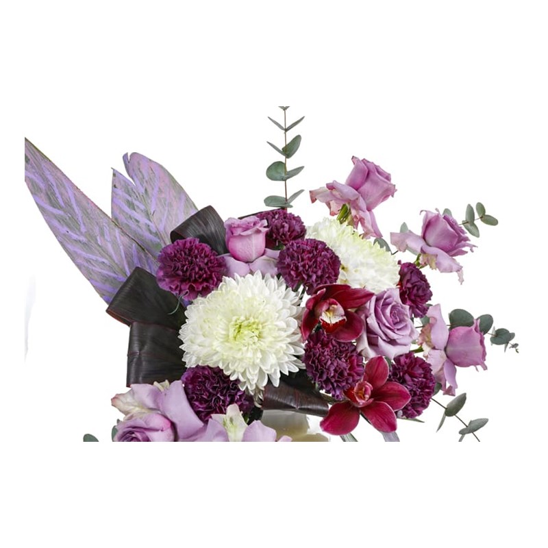 White Of Lilac