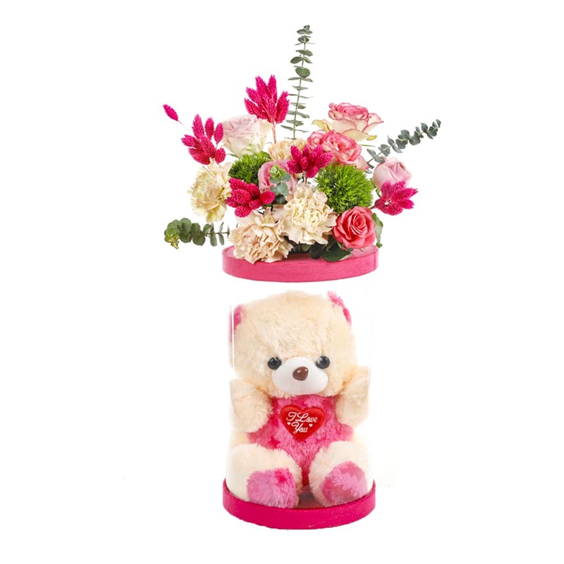 Pink Teddy Bear