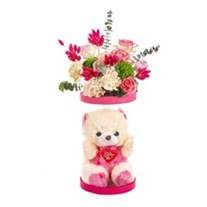 Pink Teddy Bear