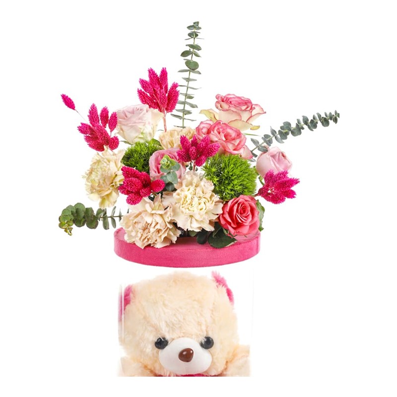 Pink Teddy Bear