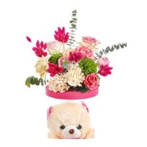 Pink Teddy Bear