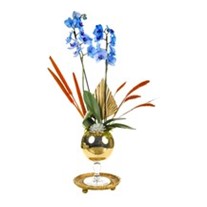 Golden Air Of Blue