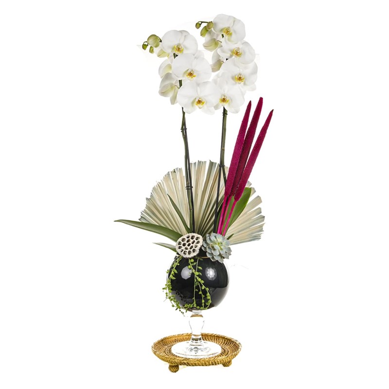The Luxury Of White Orchid