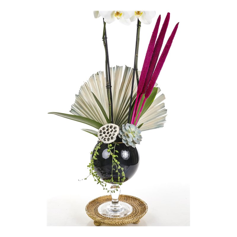 The Luxury Of White Orchid