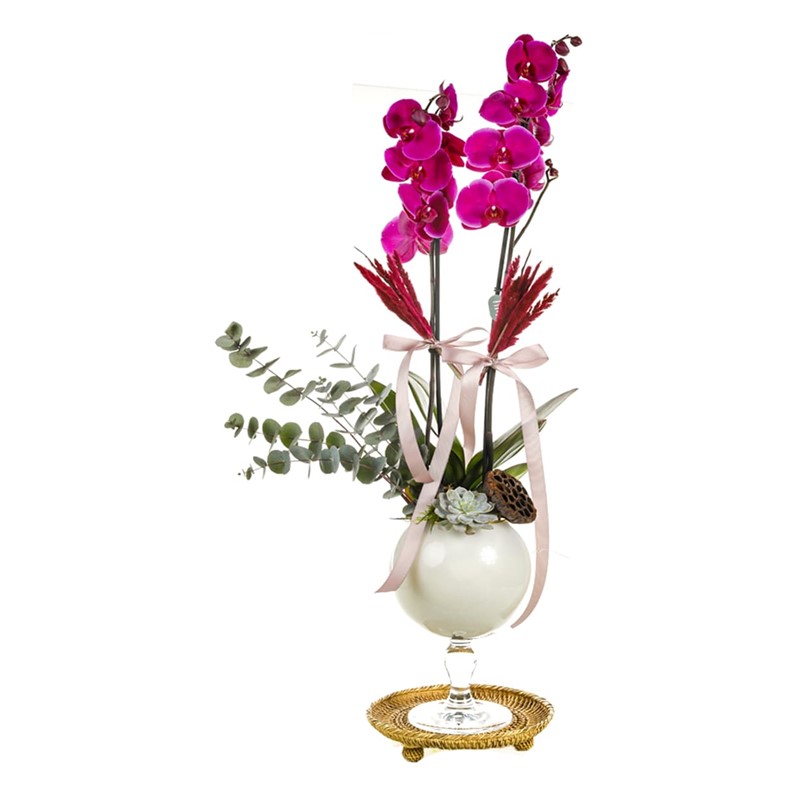 Orchid Of Nobility
