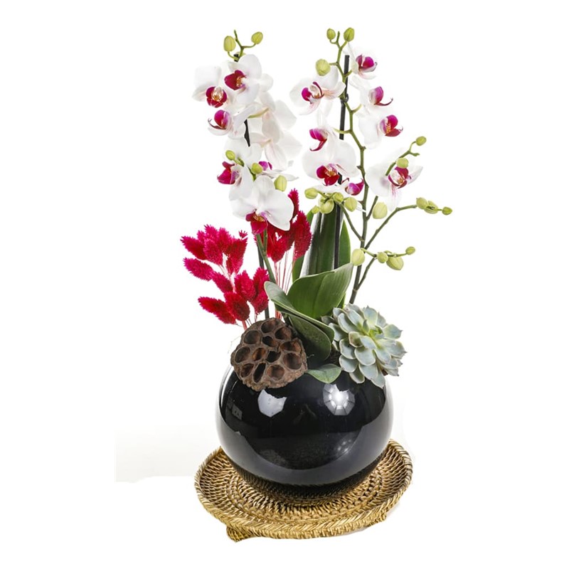 Pink Detailed Orchid