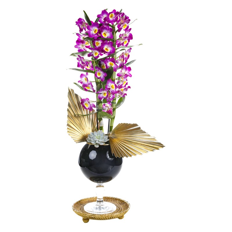 Dendrobium Of Gold Detail