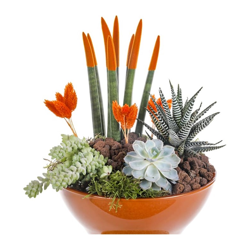 Orange Luxury Garden