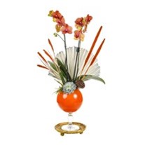 Orange Luxury Orchid