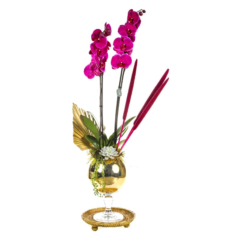 Royal Pink Orchid