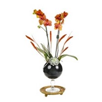Orange Orchid İn Glass