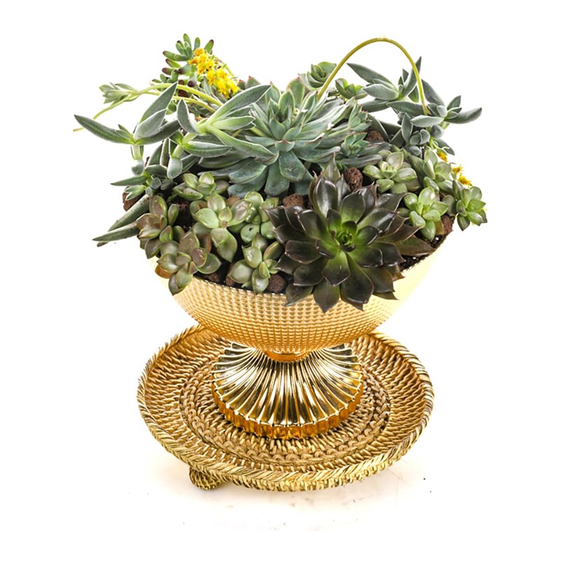 Golden Goblet Garden