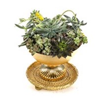 Golden Goblet Garden