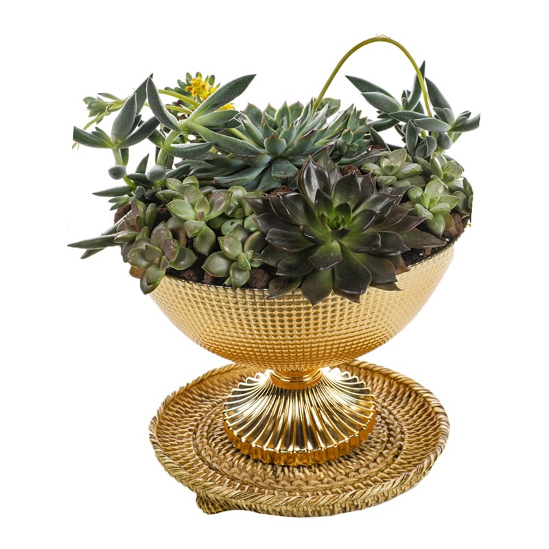 Golden Goblet Garden