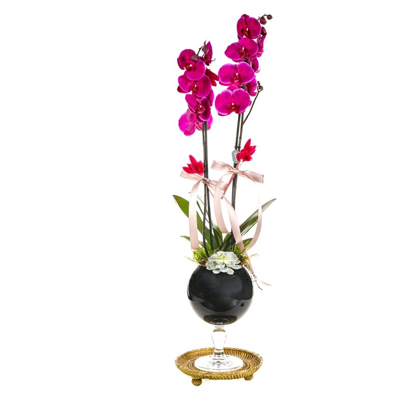 Pink Of Elegance