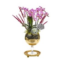 Gold Design Orchid