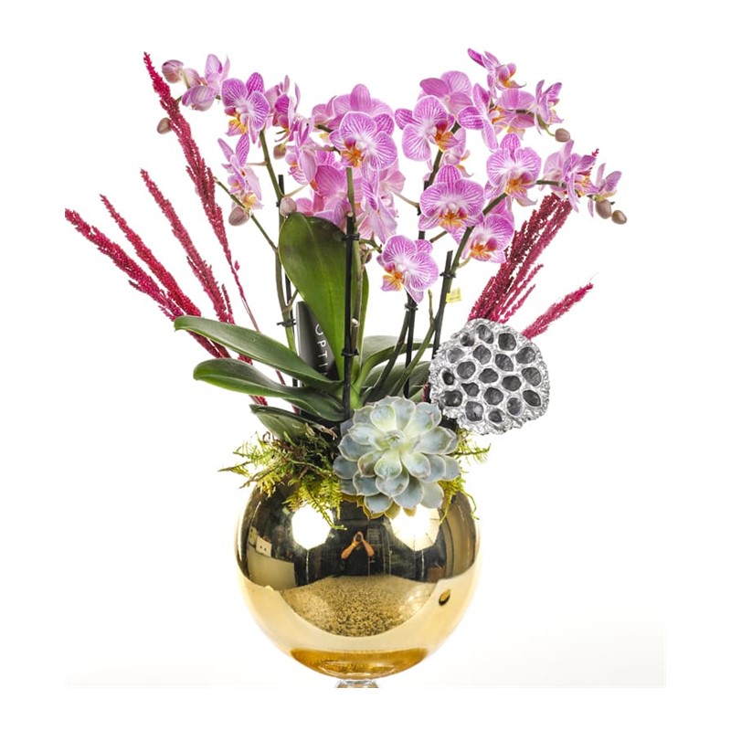 Gold Design Orchid