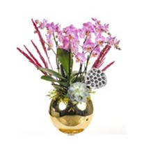 Gold Design Orchid
