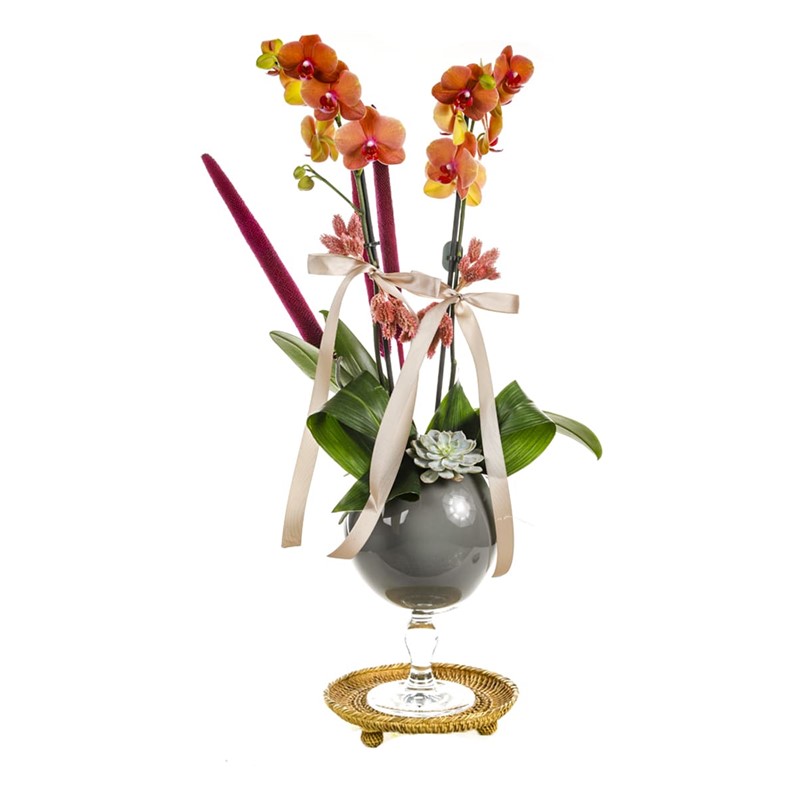 Orange Orchid İn Gray Tone