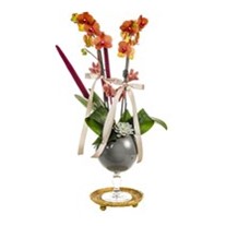 Orange Orchid İn Gray Tone