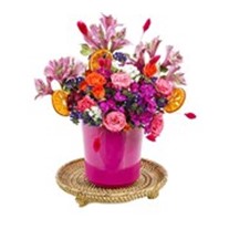 Purple Colorful