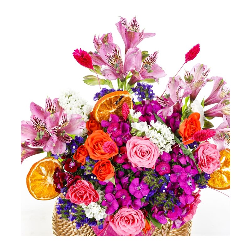 Purple Colorful