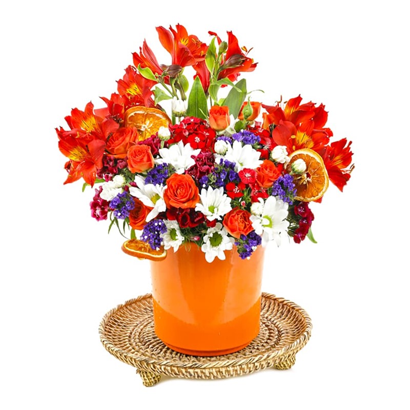 Orange Colorful