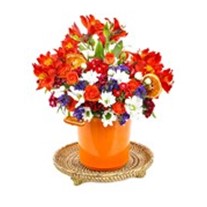 Orange Colorful