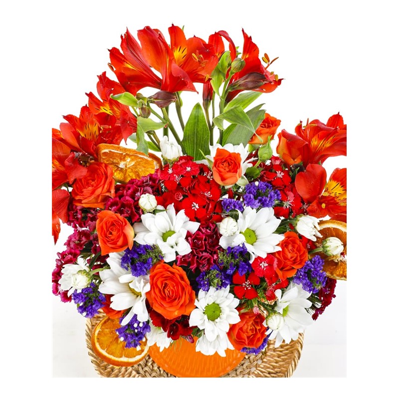 Orange Colorful