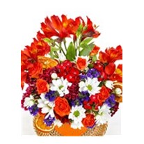 Orange Colorful