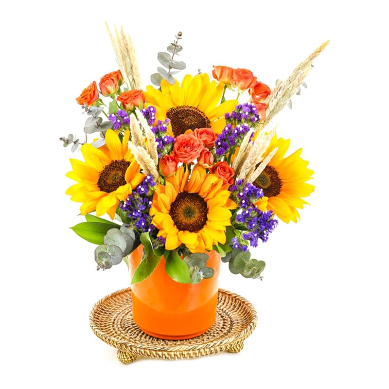 Sun Flower Of Orange