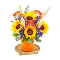 Sun Flower Of Orange