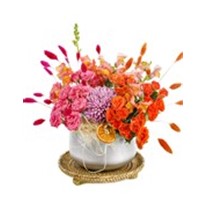 Pink Of Orange