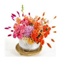 Pink Of Orange