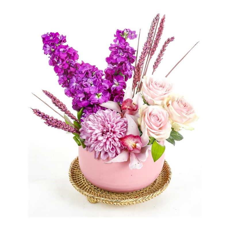 The Sweetness of Pink and Purple