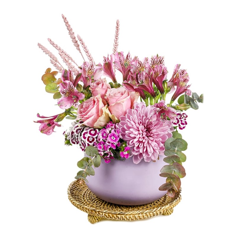 Lila Of Scent