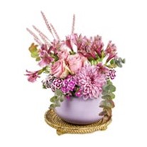 Lila Of Scent