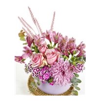 Lila Of Scent