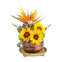 Sunflower Of Forest