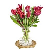 Purple Tulip Effect