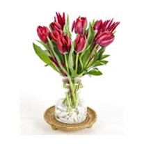 Purple Tulip Effect