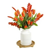 Orange Tulip Effect