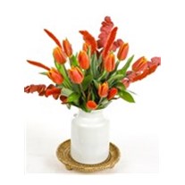 Orange Tulip Effect
