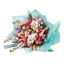 Pink Lilies Daisy