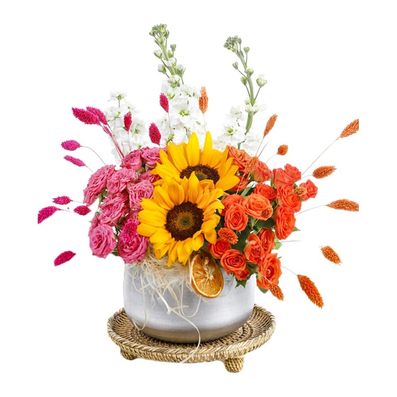 Two Colors Sunflowers